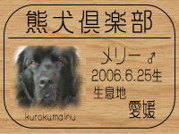 YOSHI����̂a�k�n�f�ւf�n�I